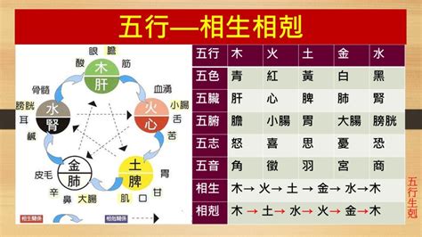 剋金|五行相剋是什麼？五行平衡與補救秘訣完整教學 